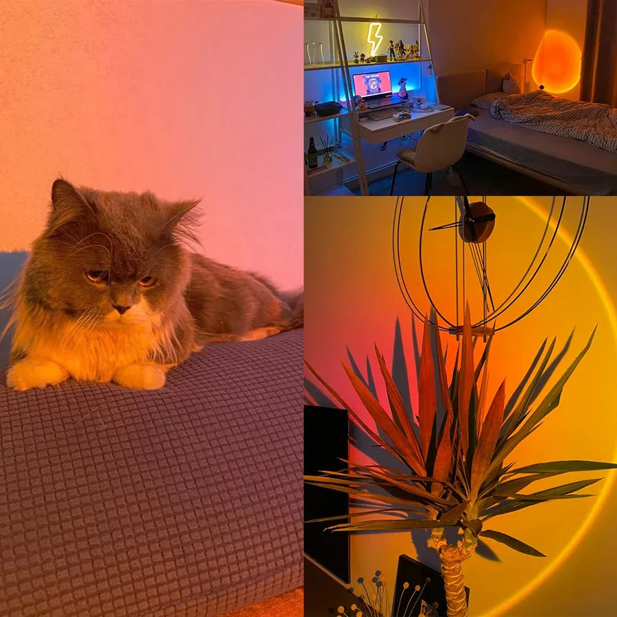 Cozy room with fluffy cat, neon desk setup, and warm ambient lighting for modern home decor