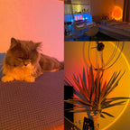 Cozy room with fluffy cat, neon desk setup, and warm ambient lighting for modern home decor