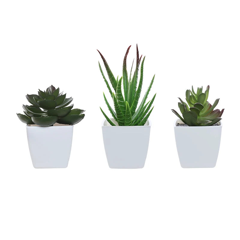 Artificial Succulents pot