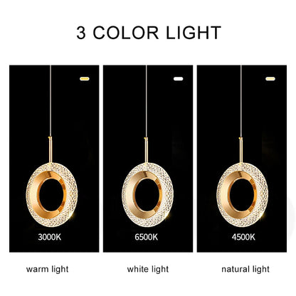 lamp Ring Pendant Lights Indoor