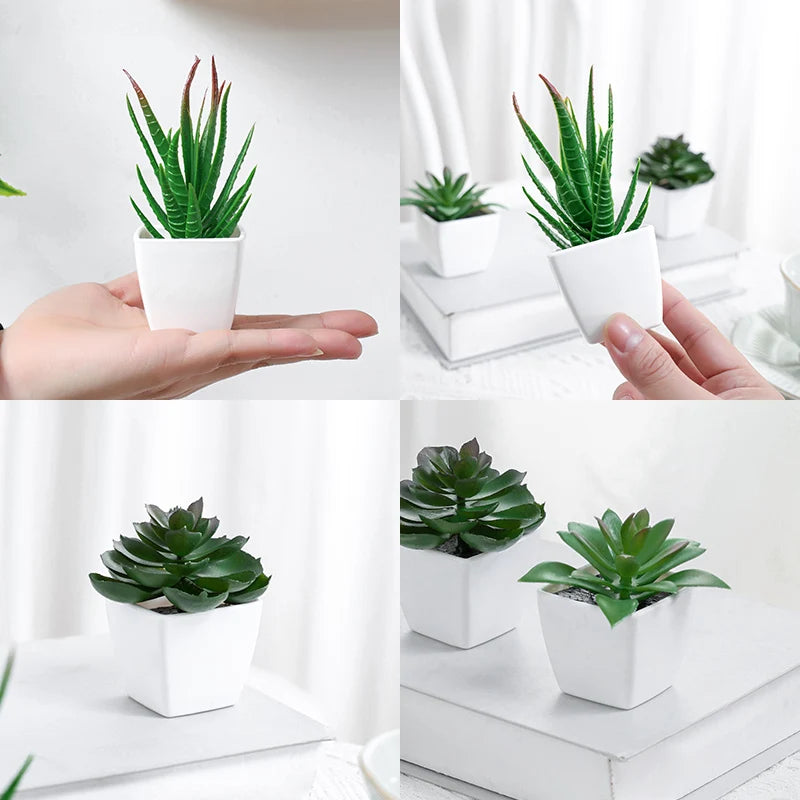 Artificial Succulents pot