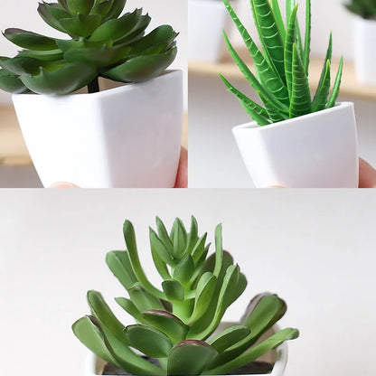 Artificial Succulents pot