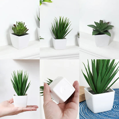 Artificial Succulents pot