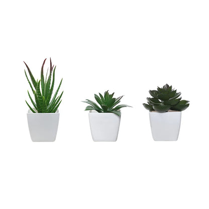 Artificial Succulents pot