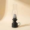 Cute gray creature inside vintage-style glass lantern with black base, cozy home decor accent