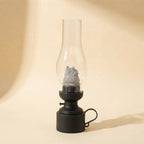 Cute gray creature inside vintage-style glass lantern with black base, cozy home decor accent